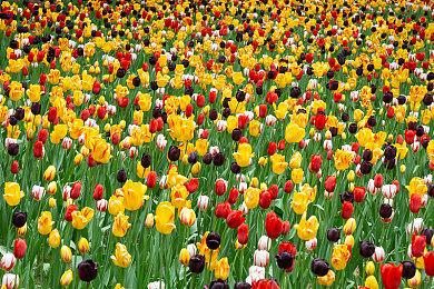 《英灵神殿》新更新预览视频 第三季度推出